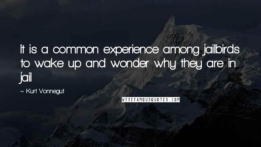 Kurt Vonnegut Quotes: It is a common experience among jailbirds to wake up and wonder why they are in jail