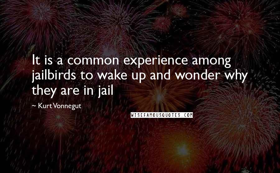 Kurt Vonnegut Quotes: It is a common experience among jailbirds to wake up and wonder why they are in jail