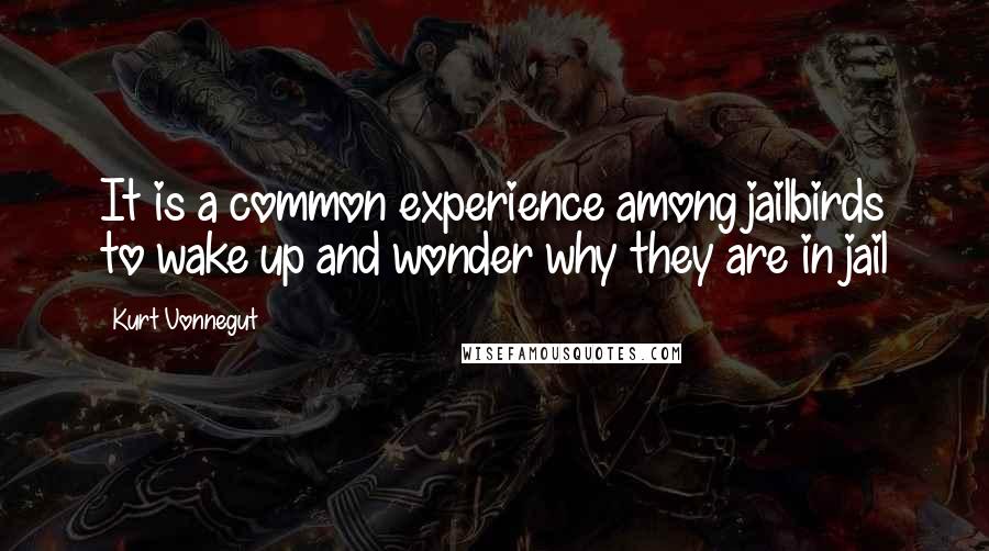 Kurt Vonnegut Quotes: It is a common experience among jailbirds to wake up and wonder why they are in jail