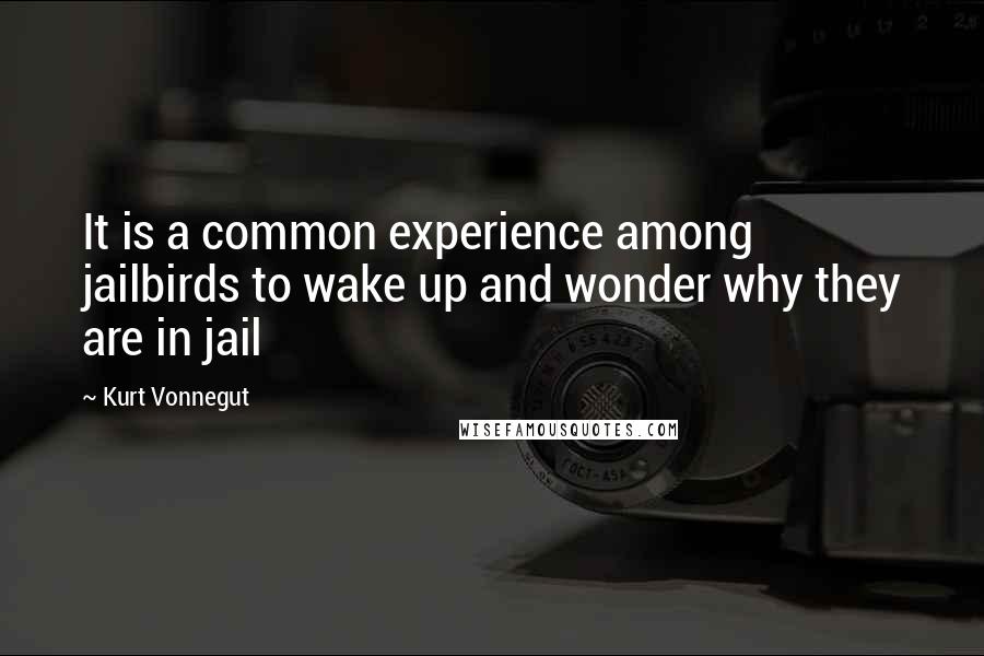 Kurt Vonnegut Quotes: It is a common experience among jailbirds to wake up and wonder why they are in jail