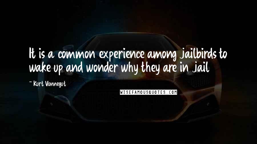 Kurt Vonnegut Quotes: It is a common experience among jailbirds to wake up and wonder why they are in jail