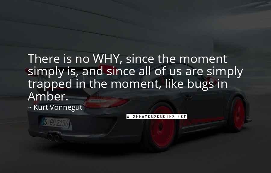 Kurt Vonnegut Quotes: There is no WHY, since the moment simply is, and since all of us are simply trapped in the moment, like bugs in Amber.