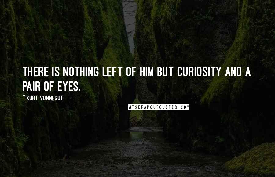 Kurt Vonnegut Quotes: There is nothing left of him but curiosity and a pair of eyes.