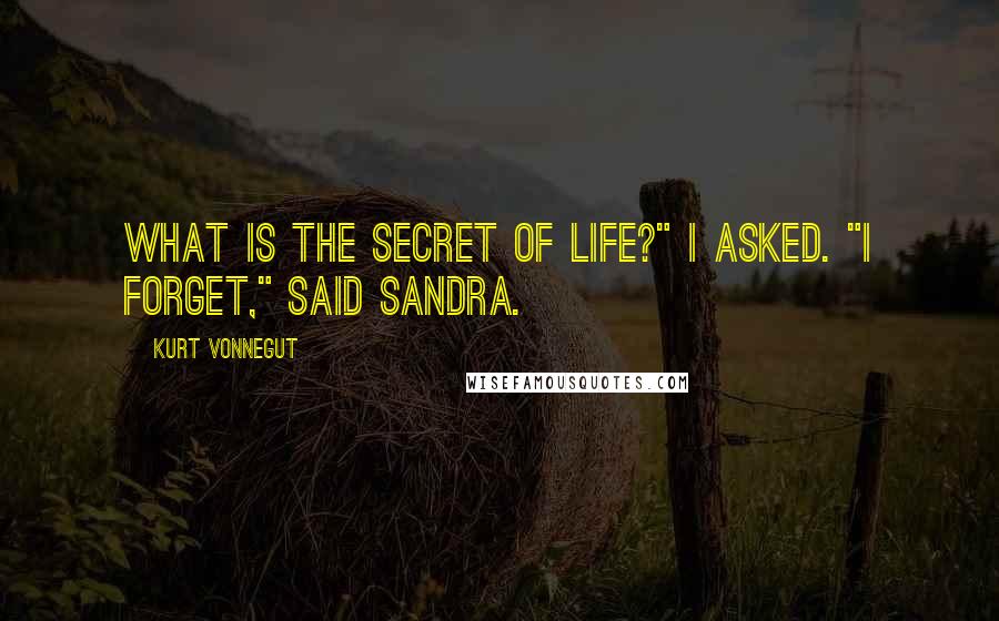 Kurt Vonnegut Quotes: What is the secret of life?" I asked. "I forget," said Sandra.