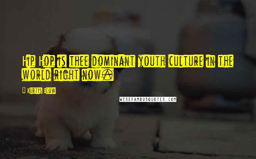 Kurtis Blow Quotes: Hip Hop is thee dominant youth culture in the world right now.