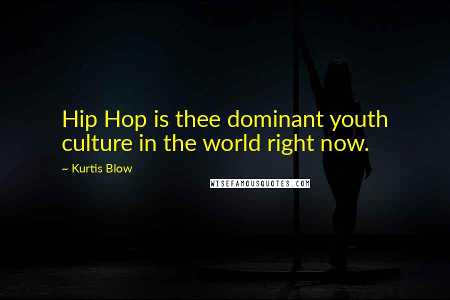 Kurtis Blow Quotes: Hip Hop is thee dominant youth culture in the world right now.