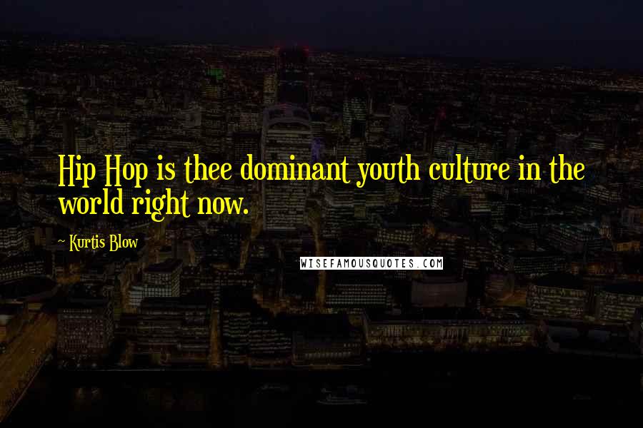 Kurtis Blow Quotes: Hip Hop is thee dominant youth culture in the world right now.