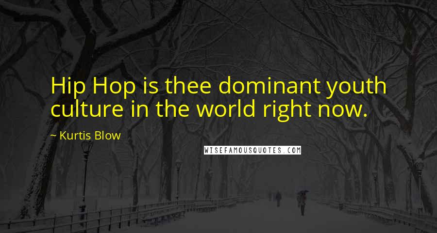 Kurtis Blow Quotes: Hip Hop is thee dominant youth culture in the world right now.