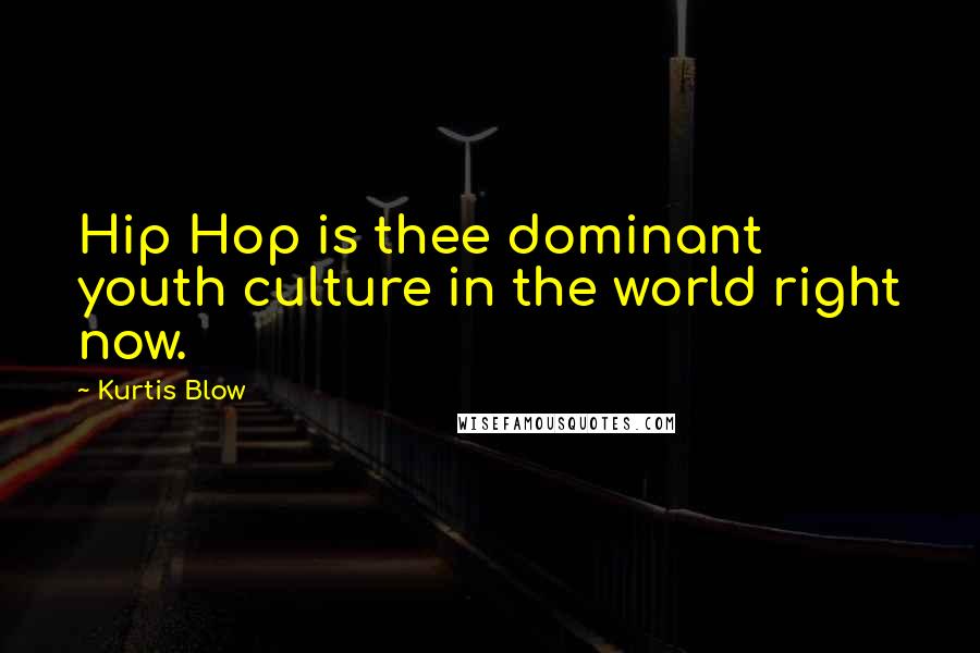Kurtis Blow Quotes: Hip Hop is thee dominant youth culture in the world right now.