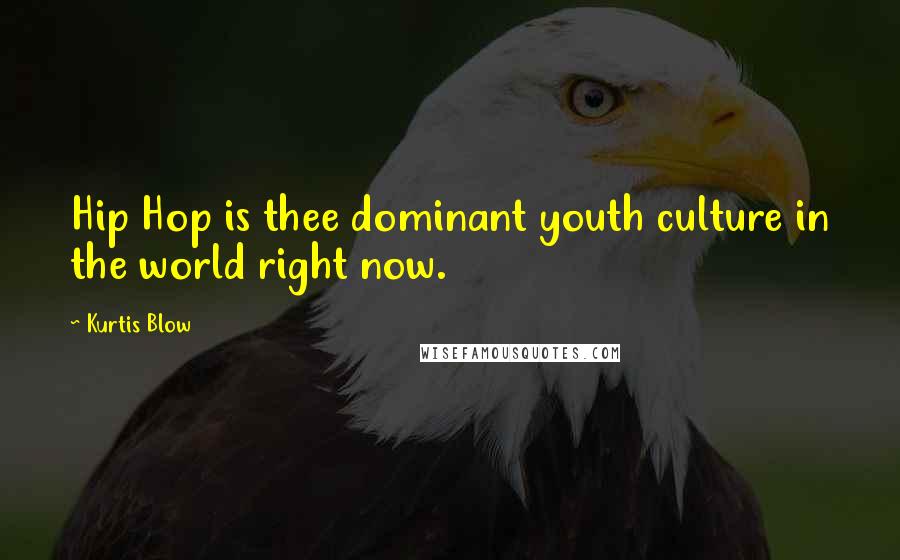 Kurtis Blow Quotes: Hip Hop is thee dominant youth culture in the world right now.