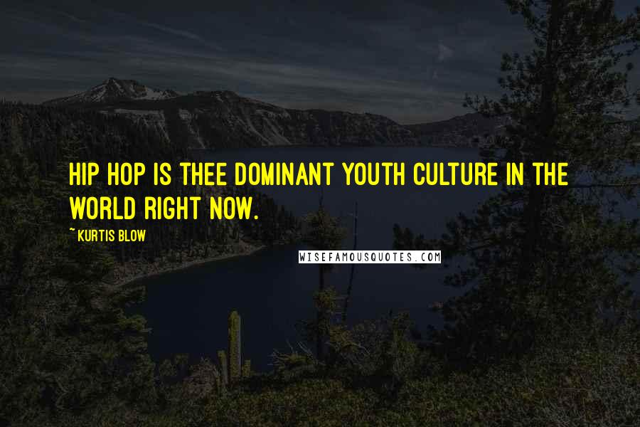 Kurtis Blow Quotes: Hip Hop is thee dominant youth culture in the world right now.