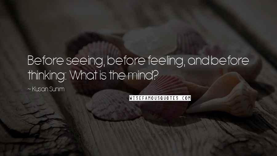 Kusan Sunim Quotes: Before seeing, before feeling, and before thinking: What is the mind?