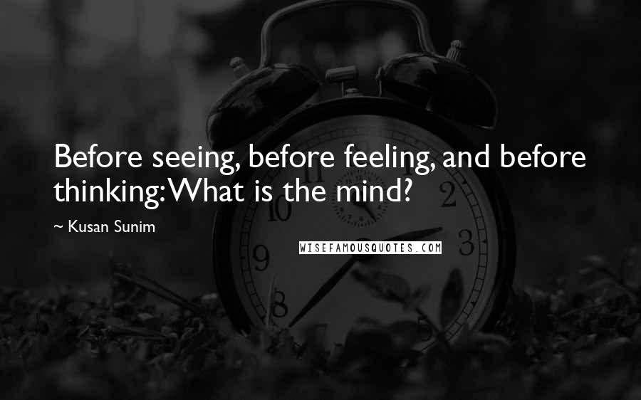 Kusan Sunim Quotes: Before seeing, before feeling, and before thinking: What is the mind?