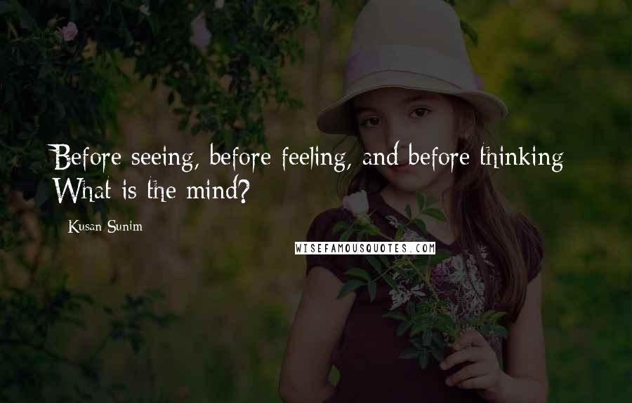 Kusan Sunim Quotes: Before seeing, before feeling, and before thinking: What is the mind?