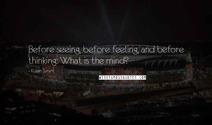 Kusan Sunim Quotes: Before seeing, before feeling, and before thinking: What is the mind?