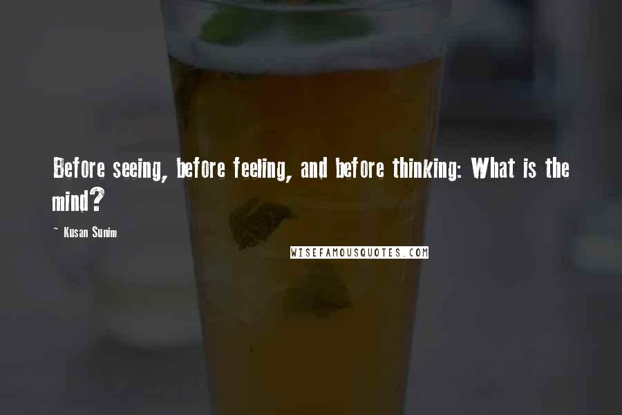 Kusan Sunim Quotes: Before seeing, before feeling, and before thinking: What is the mind?