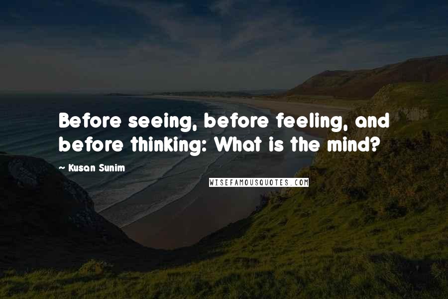 Kusan Sunim Quotes: Before seeing, before feeling, and before thinking: What is the mind?