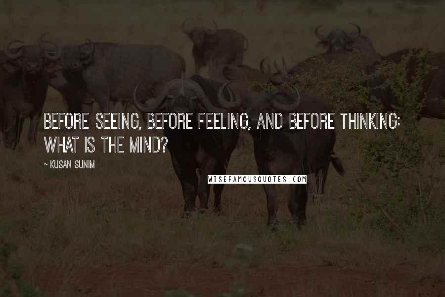 Kusan Sunim Quotes: Before seeing, before feeling, and before thinking: What is the mind?