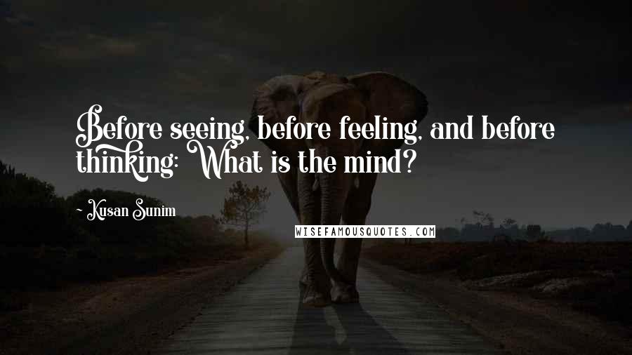 Kusan Sunim Quotes: Before seeing, before feeling, and before thinking: What is the mind?