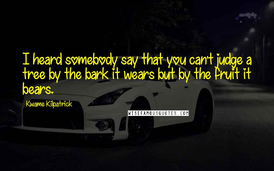 Kwame Kilpatrick Quotes: I heard somebody say that you can't judge a tree by the bark it wears but by the fruit it bears.