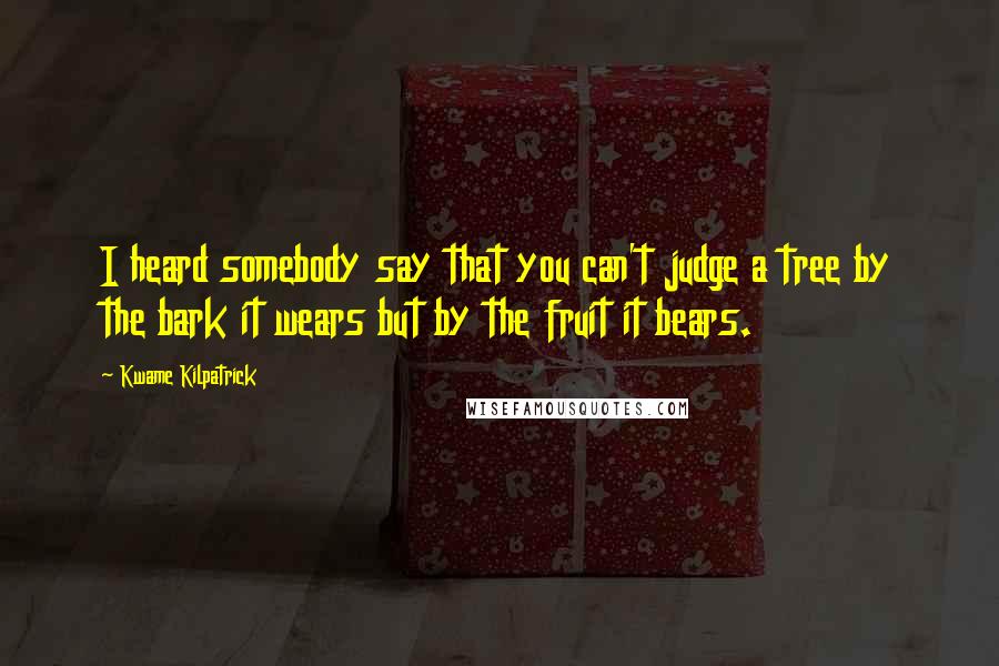 Kwame Kilpatrick Quotes: I heard somebody say that you can't judge a tree by the bark it wears but by the fruit it bears.