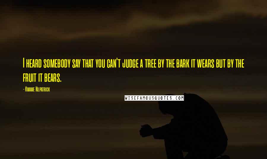 Kwame Kilpatrick Quotes: I heard somebody say that you can't judge a tree by the bark it wears but by the fruit it bears.