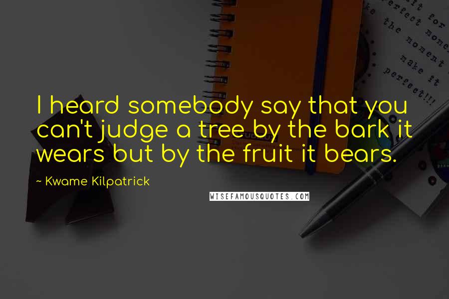 Kwame Kilpatrick Quotes: I heard somebody say that you can't judge a tree by the bark it wears but by the fruit it bears.