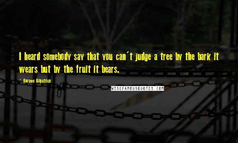 Kwame Kilpatrick Quotes: I heard somebody say that you can't judge a tree by the bark it wears but by the fruit it bears.