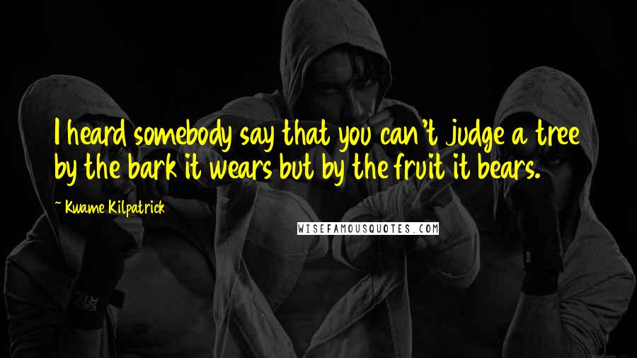 Kwame Kilpatrick Quotes: I heard somebody say that you can't judge a tree by the bark it wears but by the fruit it bears.