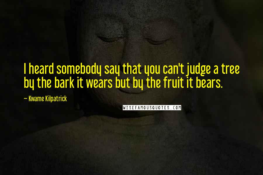 Kwame Kilpatrick Quotes: I heard somebody say that you can't judge a tree by the bark it wears but by the fruit it bears.