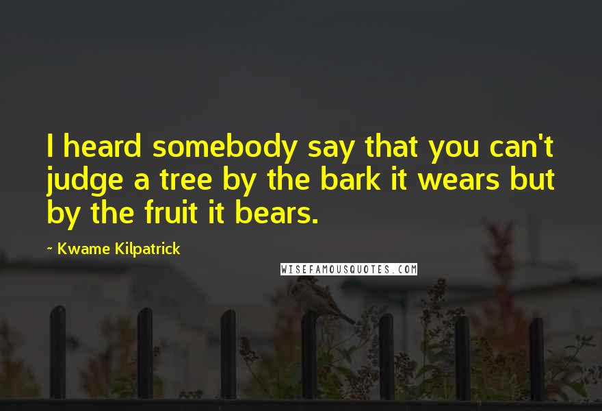Kwame Kilpatrick Quotes: I heard somebody say that you can't judge a tree by the bark it wears but by the fruit it bears.