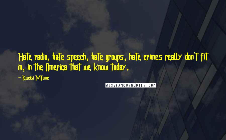 Kweisi Mfume Quotes: Hate radio, hate speech, hate groups, hate crimes really don't fit in, in the America that we know today.