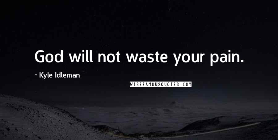 Kyle Idleman Quotes: God will not waste your pain.