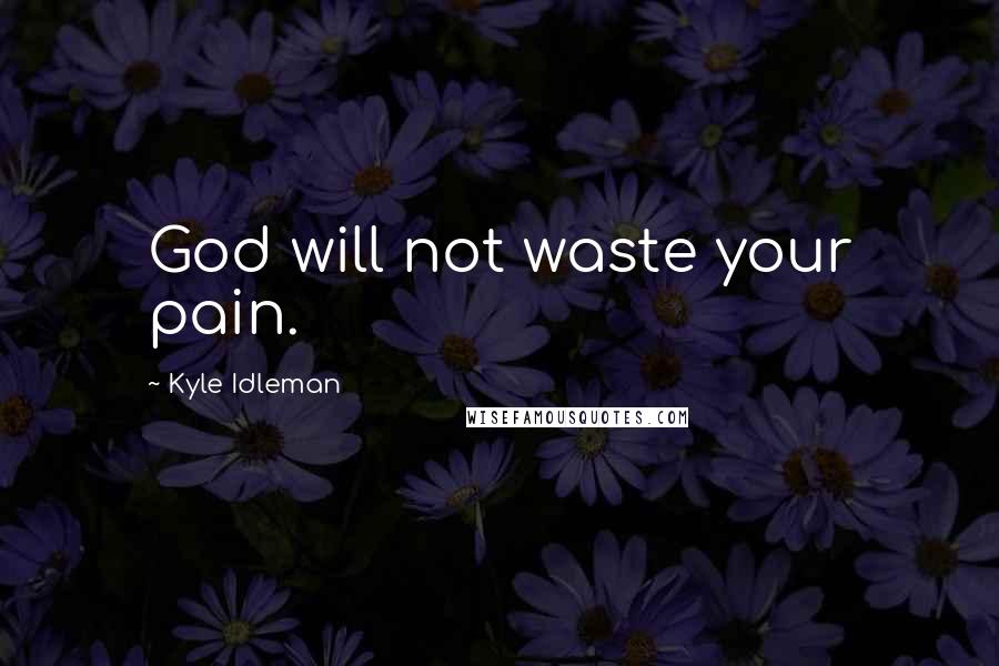 Kyle Idleman Quotes: God will not waste your pain.