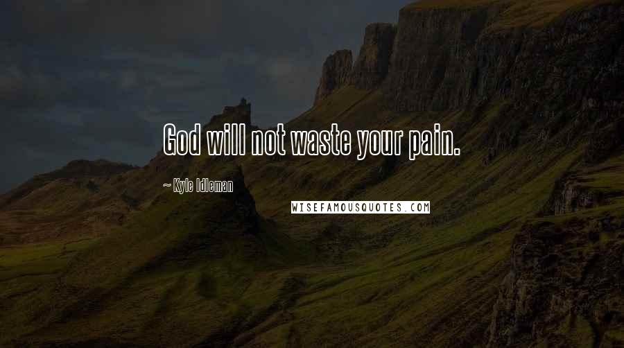 Kyle Idleman Quotes: God will not waste your pain.