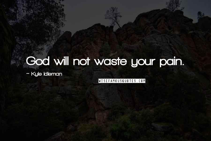 Kyle Idleman Quotes: God will not waste your pain.