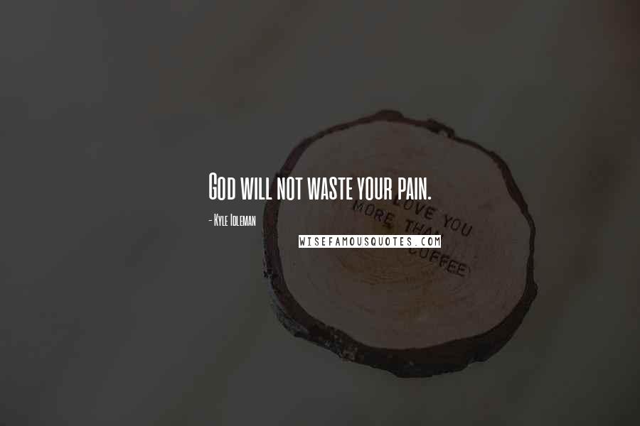 Kyle Idleman Quotes: God will not waste your pain.