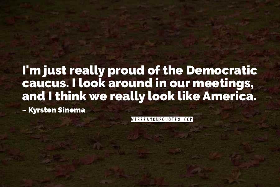 Kyrsten Sinema Quotes: I'm just really proud of the Democratic caucus. I look around in our meetings, and I think we really look like America.