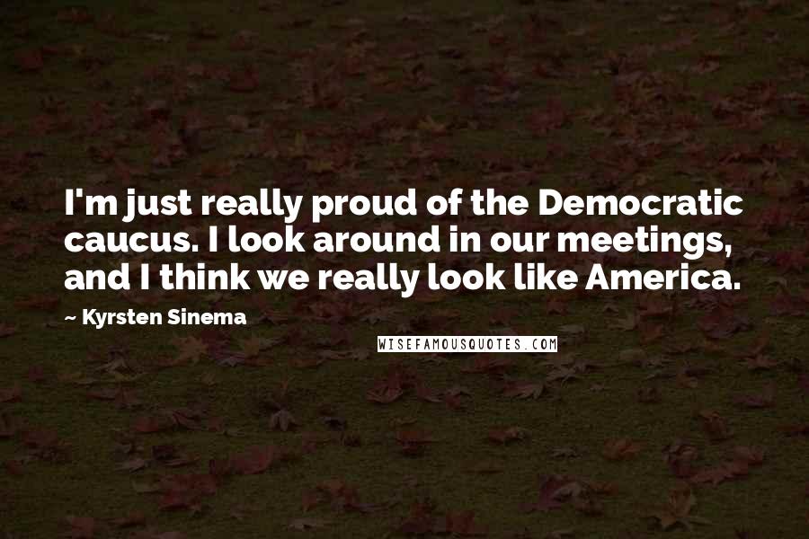 Kyrsten Sinema Quotes: I'm just really proud of the Democratic caucus. I look around in our meetings, and I think we really look like America.