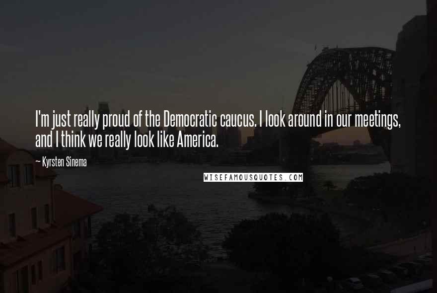 Kyrsten Sinema Quotes: I'm just really proud of the Democratic caucus. I look around in our meetings, and I think we really look like America.