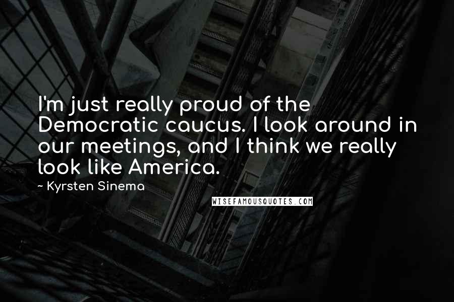 Kyrsten Sinema Quotes: I'm just really proud of the Democratic caucus. I look around in our meetings, and I think we really look like America.