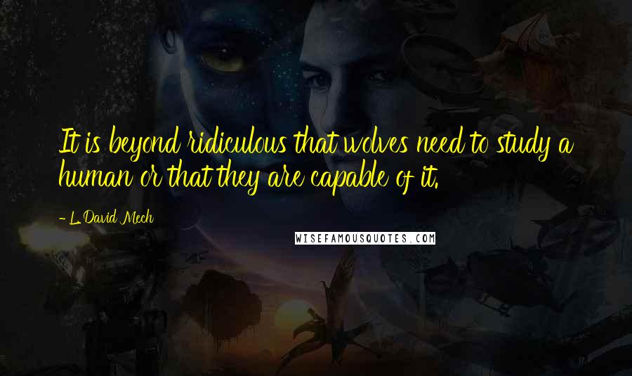 L. David Mech Quotes: It is beyond ridiculous that wolves need to study a human or that they are capable of it.