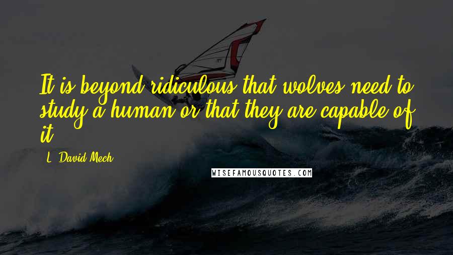 L. David Mech Quotes: It is beyond ridiculous that wolves need to study a human or that they are capable of it.