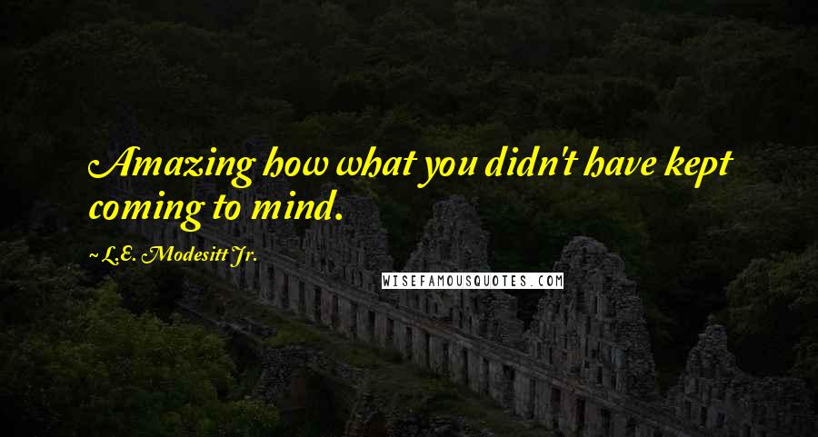 L.E. Modesitt Jr. Quotes: Amazing how what you didn't have kept coming to mind.