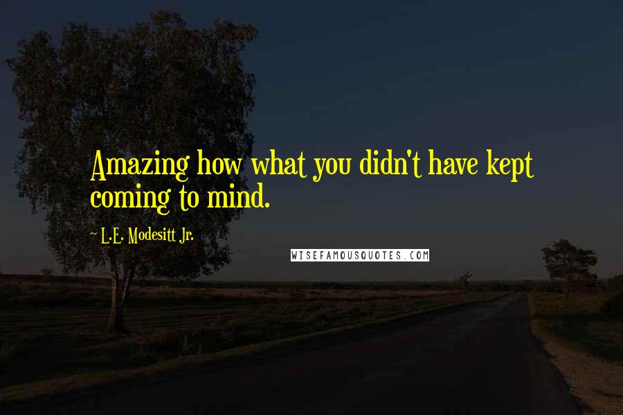 L.E. Modesitt Jr. Quotes: Amazing how what you didn't have kept coming to mind.