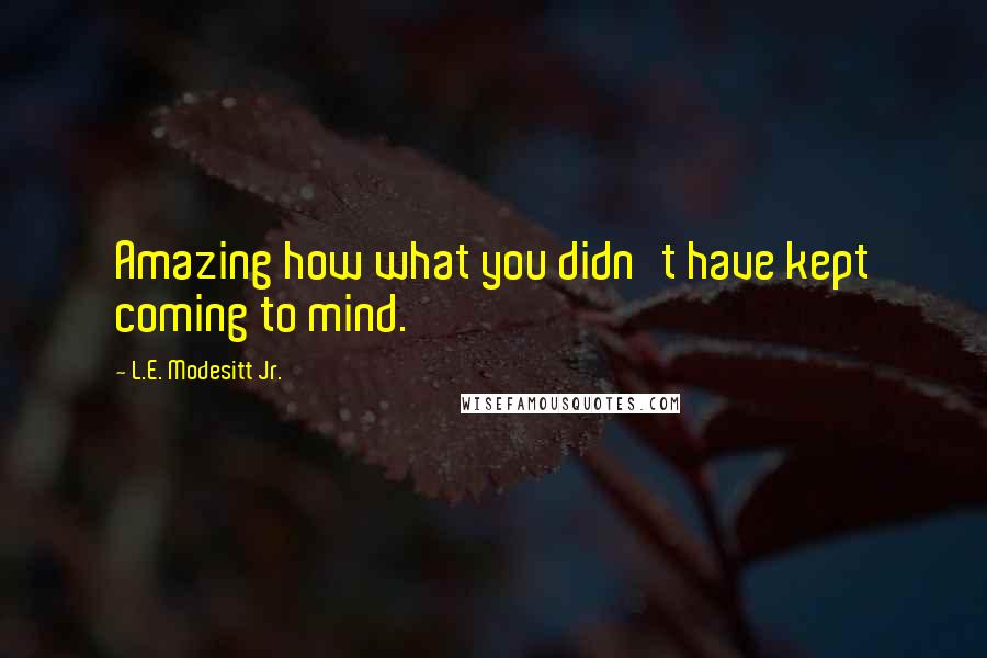 L.E. Modesitt Jr. Quotes: Amazing how what you didn't have kept coming to mind.