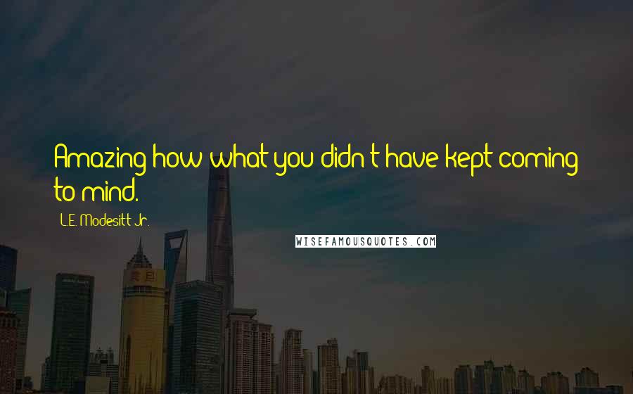 L.E. Modesitt Jr. Quotes: Amazing how what you didn't have kept coming to mind.