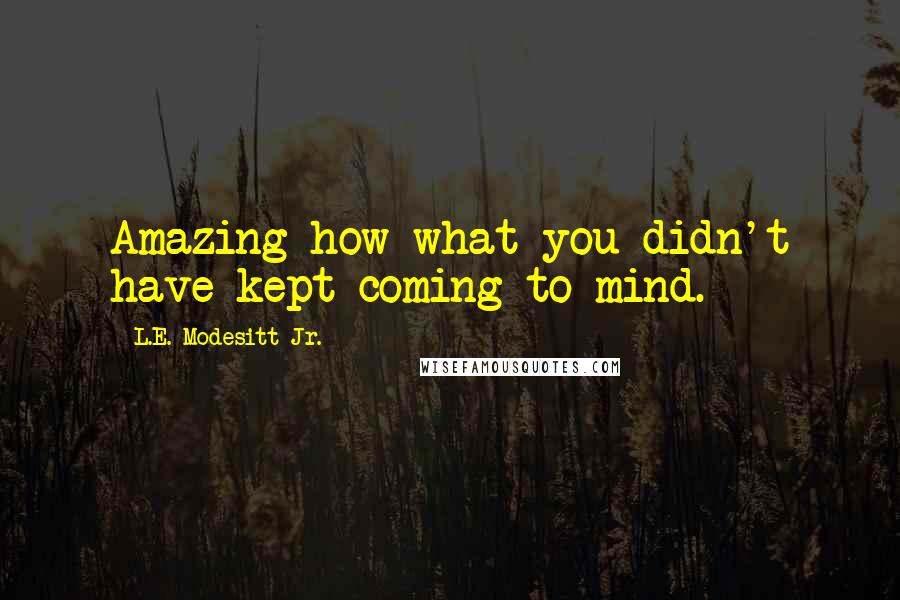 L.E. Modesitt Jr. Quotes: Amazing how what you didn't have kept coming to mind.