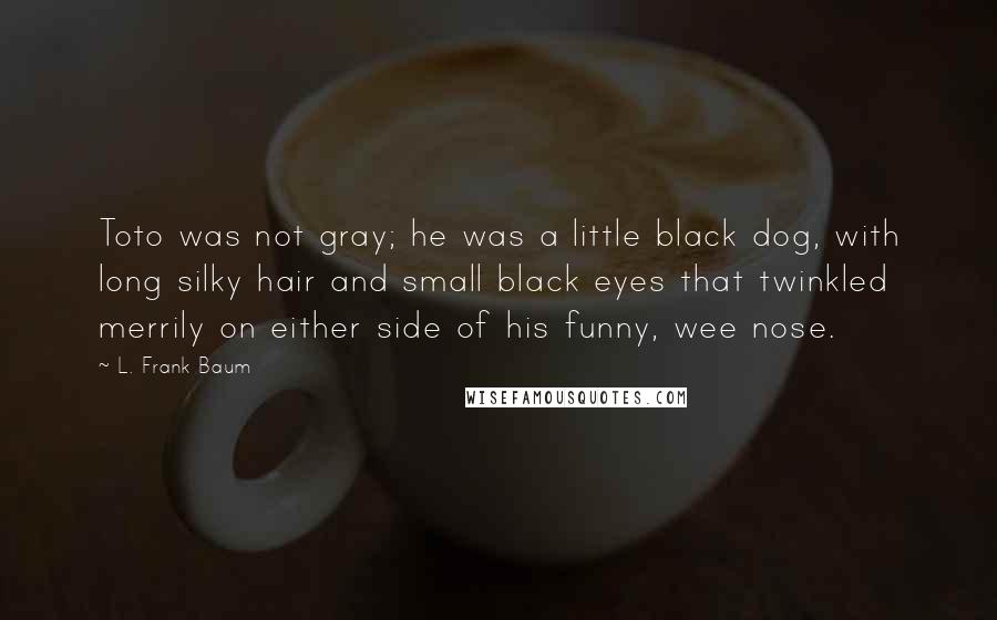 L. Frank Baum Quotes: Toto was not gray; he was a little black dog, with long silky hair and small black eyes that twinkled merrily on either side of his funny, wee nose.