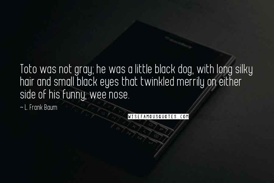 L. Frank Baum Quotes: Toto was not gray; he was a little black dog, with long silky hair and small black eyes that twinkled merrily on either side of his funny, wee nose.